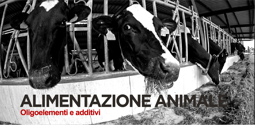 alimentazione-animale